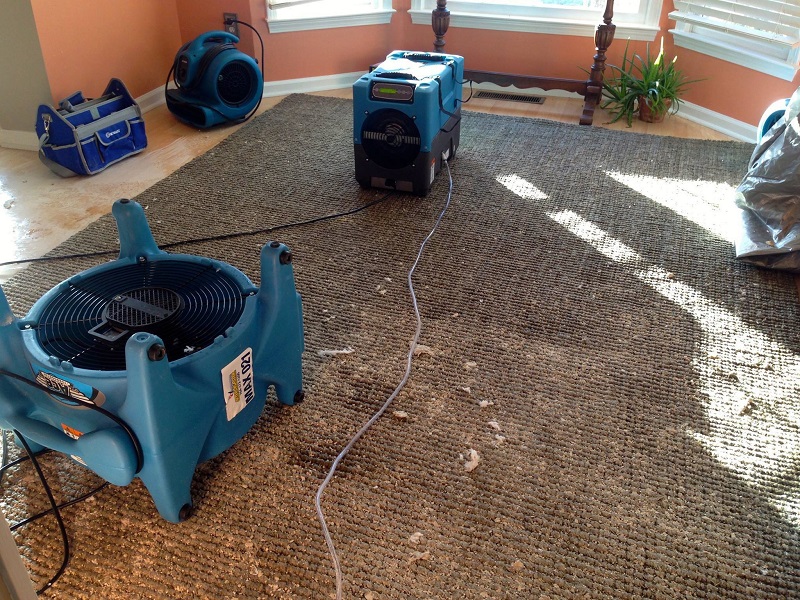 Water Extraction & Carpet Drying image